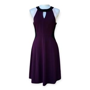 Tommy Hilfiger A-Line Style Midi. Plum  with Gold Zipper Back